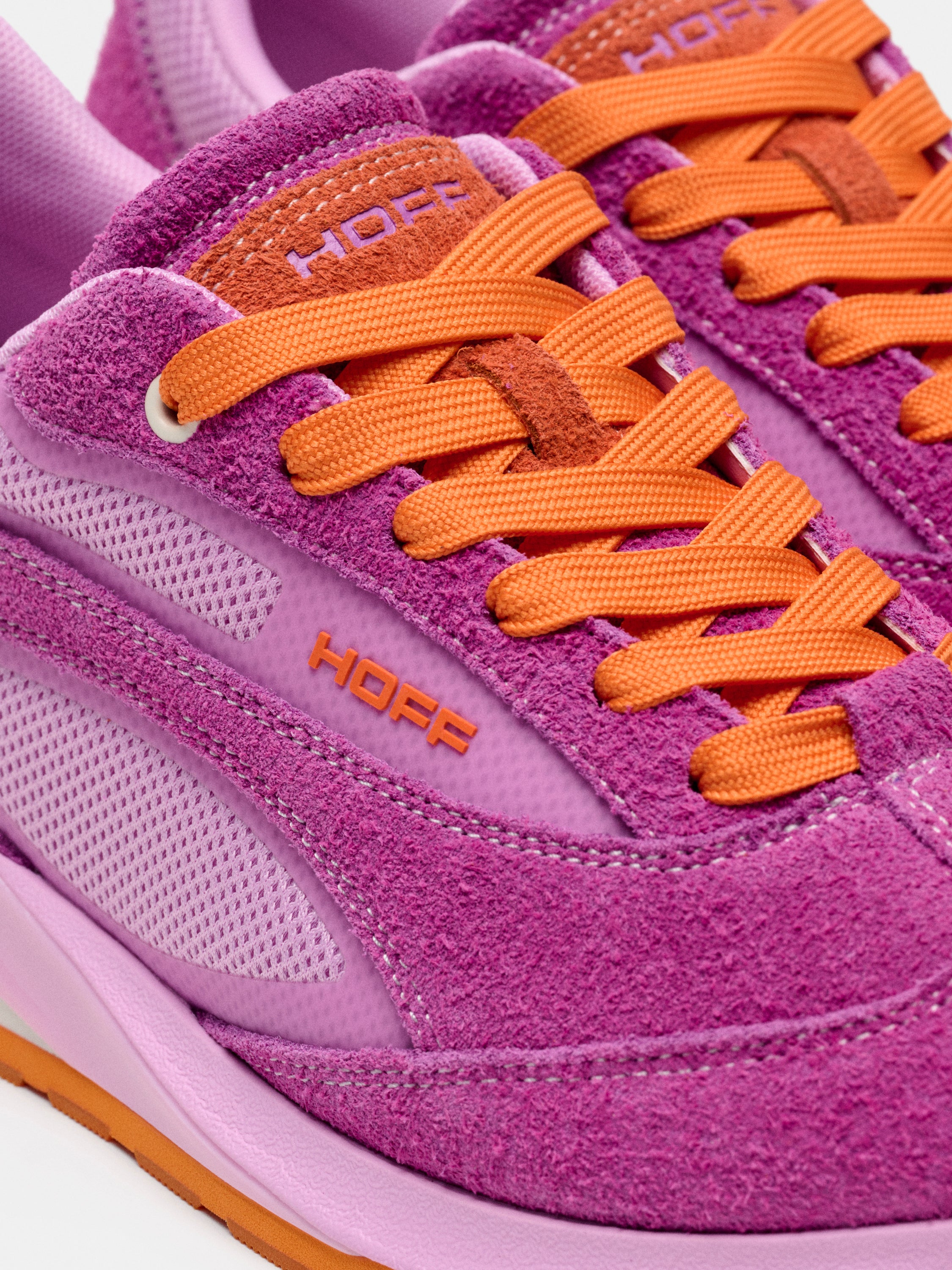 SEVEN RUNNER ORCHIDE