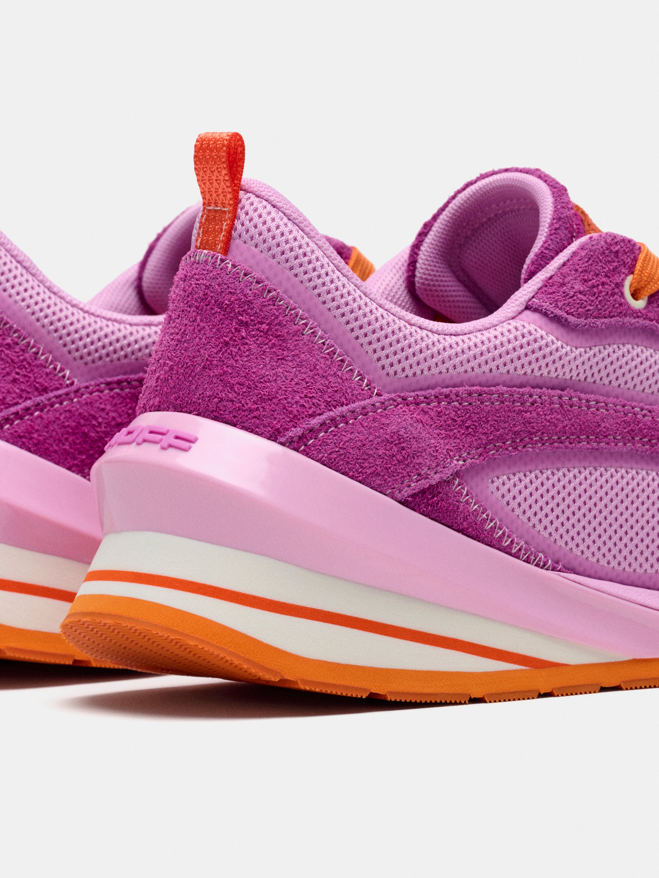 SEVEN RUNNER ORCHIDE